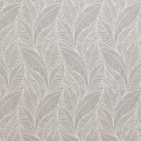 TAHITI_DOVE_GREY