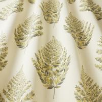 Frond_Fennel_2