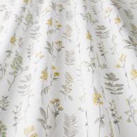 Cottage_Garden_Cornsilk_2