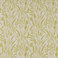 Wild Grasses_Citrus_Flat